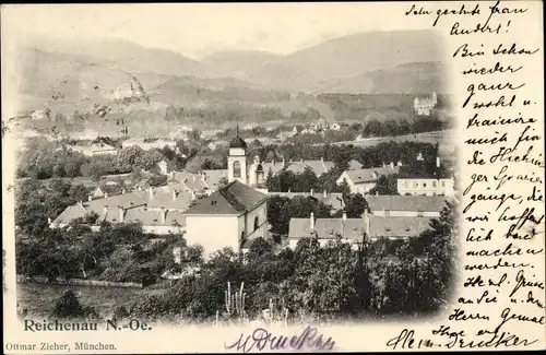 Ak Reichenau an der Rax Niederösterreich, Gesamtansicht