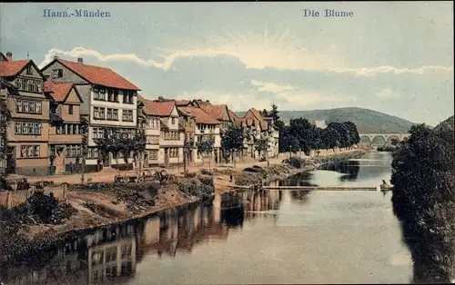 Ak Hann. Münden in Niedersachsen, Die Blume