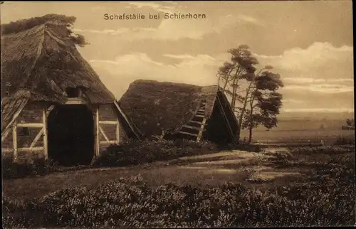 Ak Schierhorn Hanstedt Nordheide, Schafställe