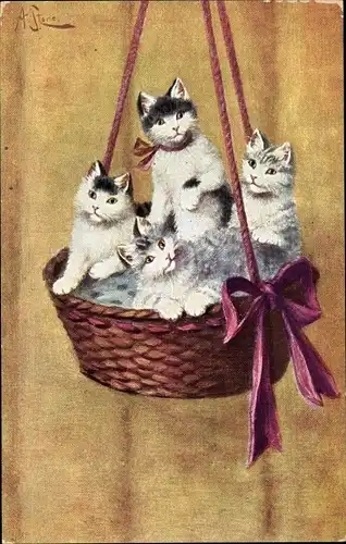 Künstler Ak Stone, A., Vier junge Katzen in einem hängenden Korb, Schleife