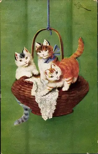 Künstler Ak Stone, A., Drei junge Katzen auf einem hängenden Korb