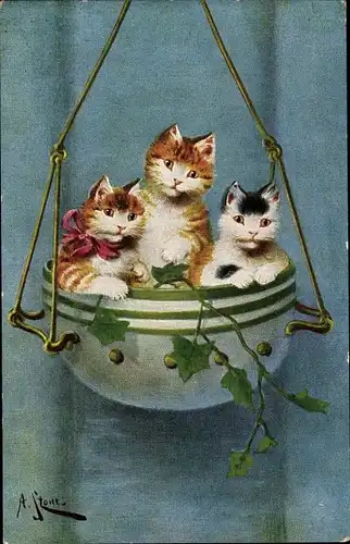 Künstler Ak Stone, A., Drei Katzen in einer hängenden Schale, Schleife