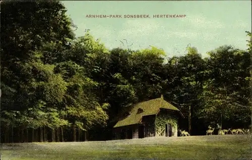 Ak Arnhem Gelderland Niederlande, Park Sonsbeek, Hertenkamp