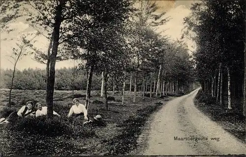 Ak Velsen Nordholland Niederlande, Maarsbergsche weg