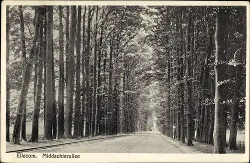 Ak Ellecom Ellekom Gelderland, Middachterallee