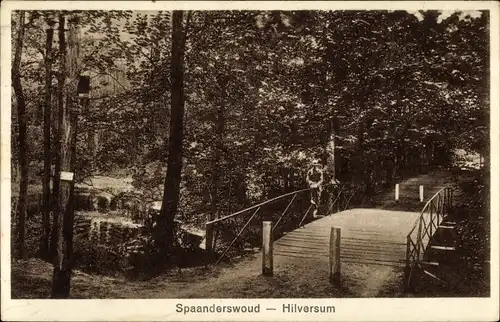 Ak Hilversum Nordholland Niederlande, Spaanderswoud