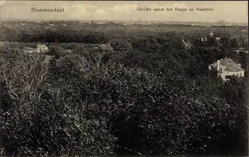 Ak Bloemendaal Nordholland Niederlande, Gezicht vanaf het Kopje op Haarlem