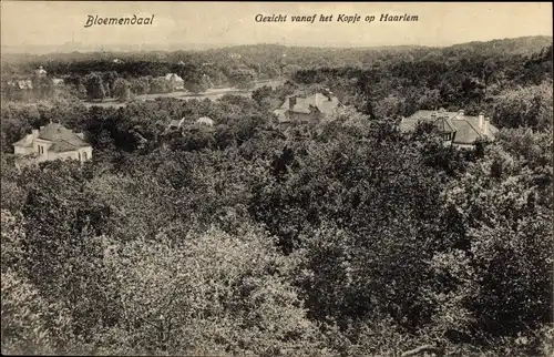 Ak Bloemendaal Nordholland Niederlande, Gezicht vanaf het Kopje op Haarlem