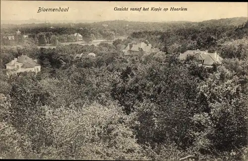 Ak Bloemendaal Nordholland Niederlande, Gezicht vanaf het Kopje op Haarlem