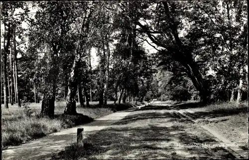 Ak Hummelo Gelderland, Hessenweg