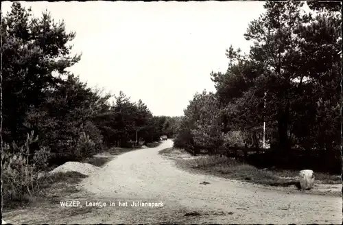 Ak Wezep Gelderland Niederlande, Laantje in het Julianapark