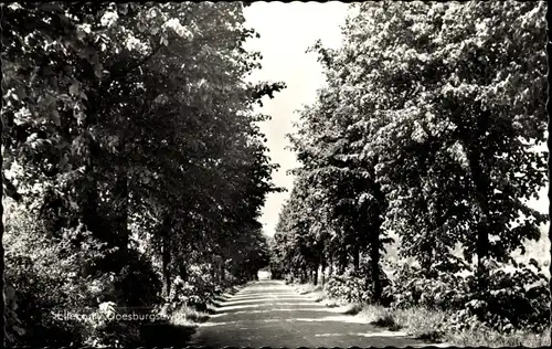 Ak Ellecom Ellekom Gelderland, Doesburgseweg