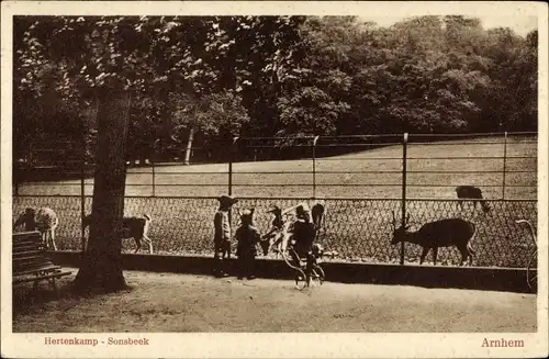 Ak Arnhem Gelderland Niederlande, Hertenkamp, Sonsbeek