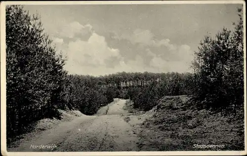 Ak Harderwijk Gelderland, Stadsdennen