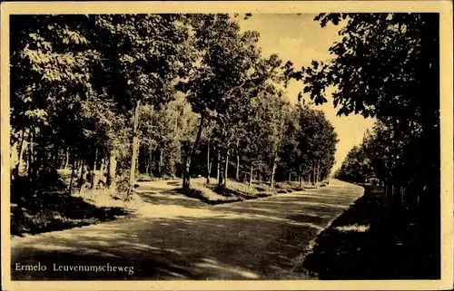 Ak Ermelo Gelderland, Leuvenumscheweg