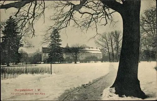 Ak Burgsteinfurt Steinfurt im Münsterland, Fürstliches Schloss mit Park, Winter