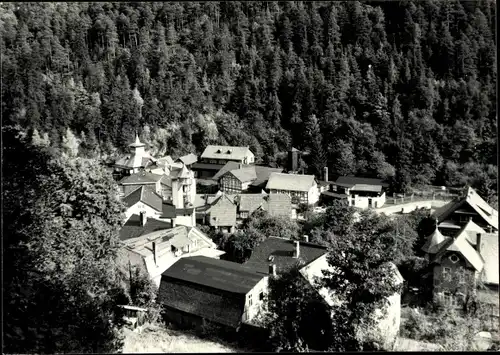 Ak Schwarzburg in Thüringen, Ortsansicht