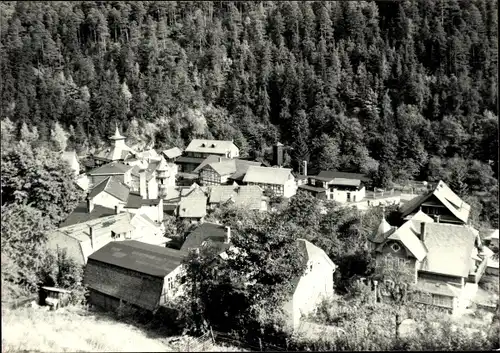 Ak Schwarzburg in Thüringen, Ortsansicht