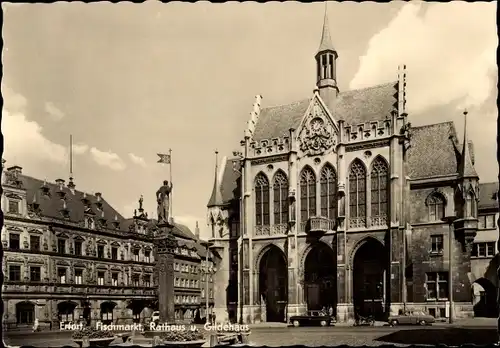 Ak Erfurt in Thüringen, Fischmarkt, Rathaus u. Gildehaus