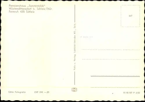 Ak Wüstendittersdorf Schleiz im Vogtland Thüringen, Pensionshaus Sonnenblick