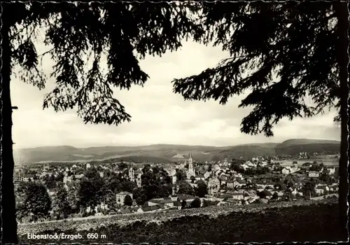 Ak Eibenstock im Erzgebirge Sachsen, Panorama