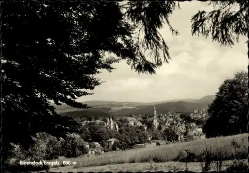 Ak Eibenstock im Erzgebirge Sachsen, Panorama