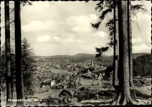 Ak Eibenstock im Erzgebirge Sachsen, Panorama