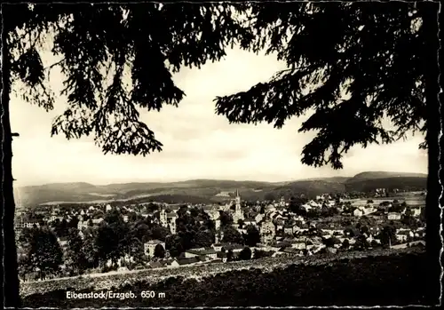 Ak Eibenstock im Erzgebirge Sachsen, Panorama