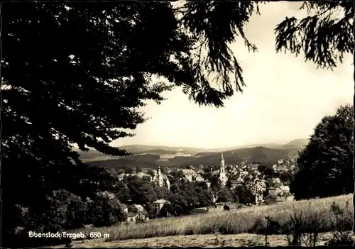 Ak Eibenstock im Erzgebirge Sachsen, Panorama