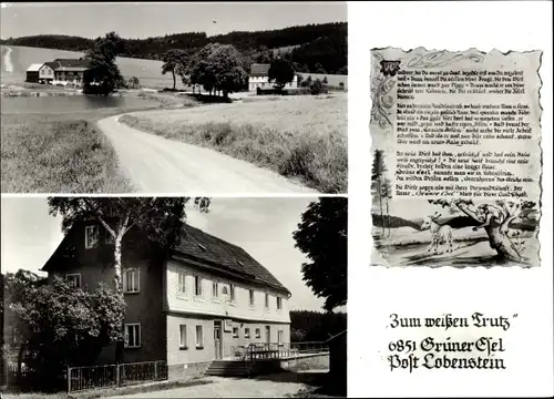 Ak Schönbrunn Ebersdorf in Thüringen, Grüner Esel, Gasthaus Zum weißen Trutz