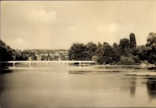 Ak Altenburg in Thüringen, Am großen Teich