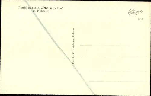 Ak Koblenz am Rhein, Partie aus den Rheinanlagen