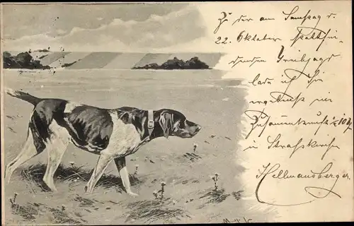 Künstler Ak Jagdhund hat eine Fährte aufgenommen