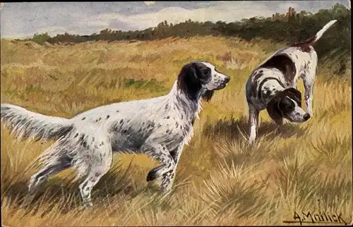 Künstler Ak Mailick, Zwei Jagdhunde auf einer Wiese