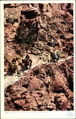 Ak Grand Canyon Arizona Vereinigte Staaten, auf der Spur