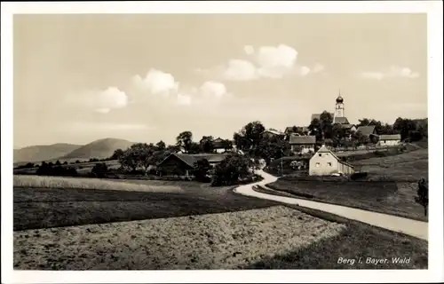 Ak Berg Prackenbach in Niederbayern, Gesamtansicht