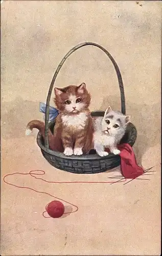Ak Zwei junge Katzen in einem Korb, Strickzeug, Wollknäuel