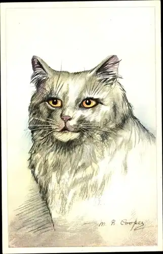 Künstler Ak Cooper, M. B., Portrait einer Katze