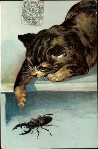 Präge Ak Katze beobachtet einen Hirschkäfer