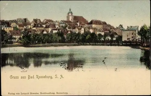 Ak Ronneburg in Thüringen, Baderteich