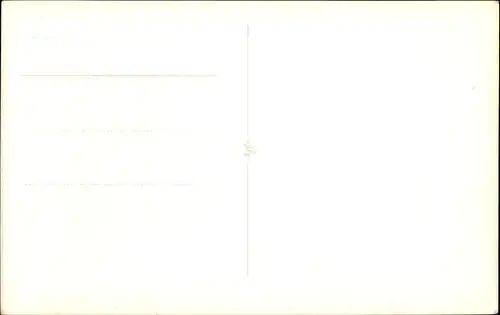 Ak Santos Brasilien, Porte