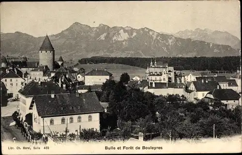 Ak Bulle Kanton Freiburg, Wald von Bouleyres