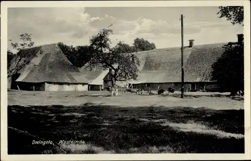 Ak Dwingeloo Drenthe Niederlande, Westeinde