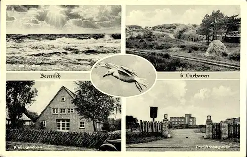 Ak Berensch Arensch Cuxhaven, wogende Nordsee, Dünen, Kreisjugendheim, Posterholungsheim, Möwe