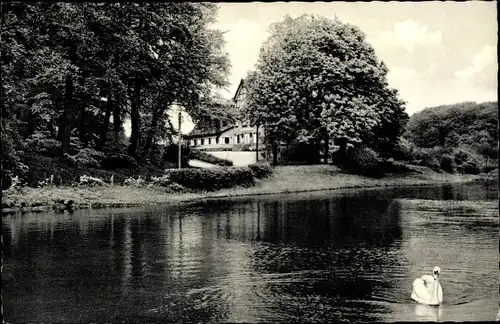 Ak Itzehoe in Holstein, Klosterbrunnen, Schwan auf dem See