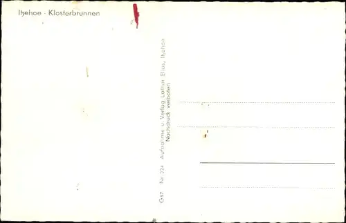 Ak Itzehoe in Holstein, Klosterbrunnen, Schwan auf dem See