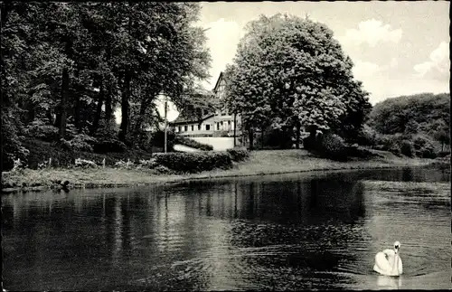 Ak Itzehoe in Holstein, Klosterbrunnen, Schwan auf dem See