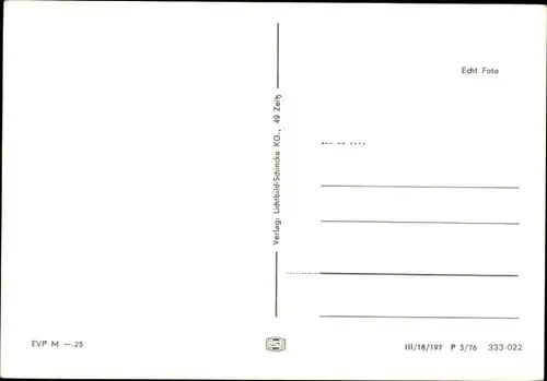 Ak Greiz im Vogtland, Panorama