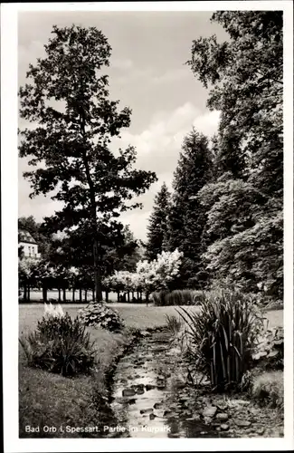 Ak Bad Orb im Spessart Hessen, Partie im Kurpark