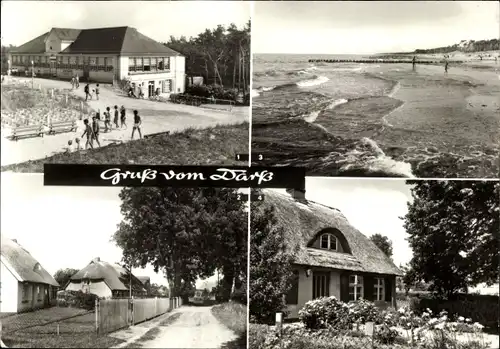 Ak Ostseebad Prerow auf dem Darß, Wieck, Weststrand, Born